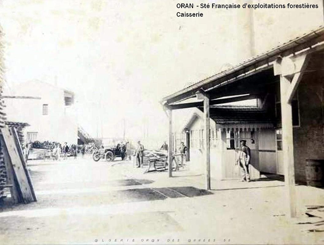 ORAN- 04.jpg
